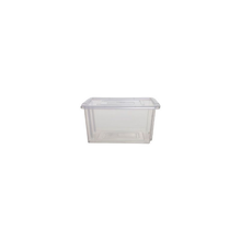 Load image into Gallery viewer, Mini Clear Storage Box with Clear Lid