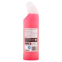 Load image into Gallery viewer, EASY Toilet Cleaner Petal Fresh 750ml
