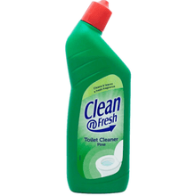 Load image into Gallery viewer, Clean &amp; Fresh Toilet Cleaner Pine 750ml
