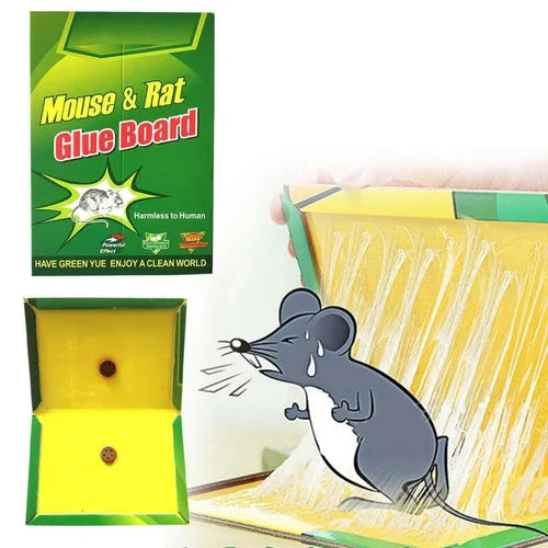 Mouse Traps Green Board BULKBUY