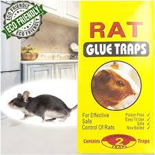 Rat Traps Yellow Sticky Glue (Pack of 2) BULKBUY