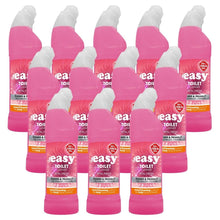 Load image into Gallery viewer, EASY Toilet Cleaner Petal Fresh 750ml
