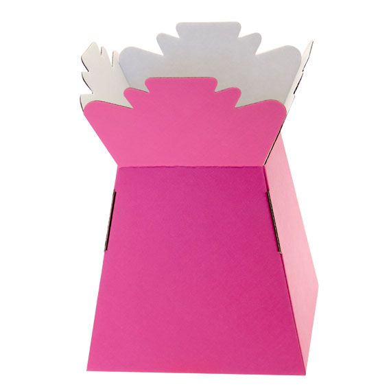 Hot Pink Living Vase