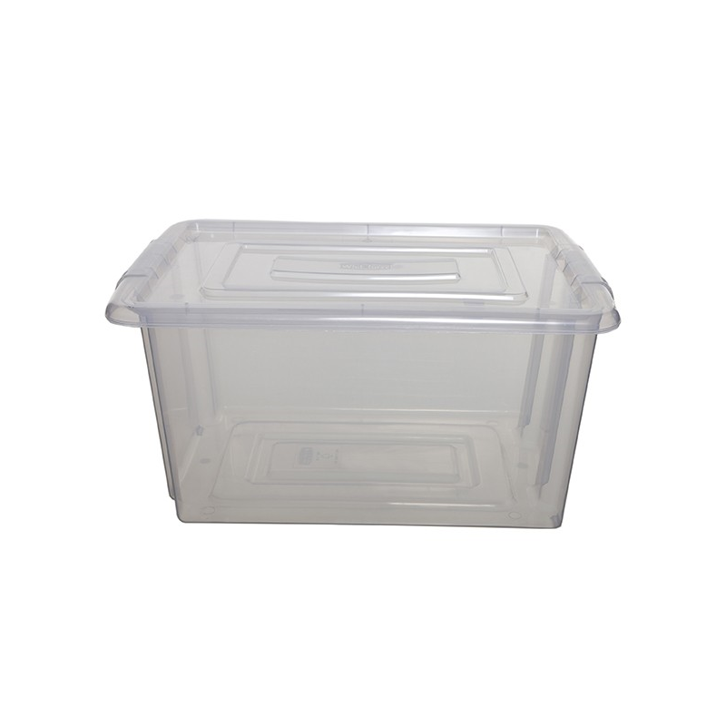 Medium Clear Storage Box with Clear Lid